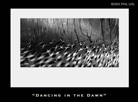 "Dancing in the Dawn"